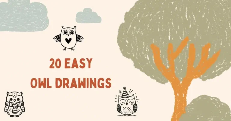 🦉20 Easy Owl Drawings For Beginners