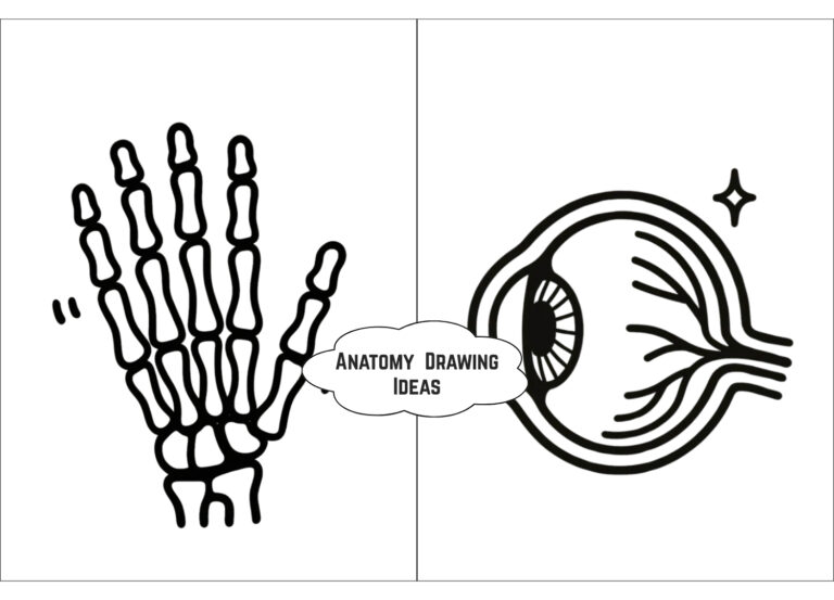 Anatomy Drawing Ideas