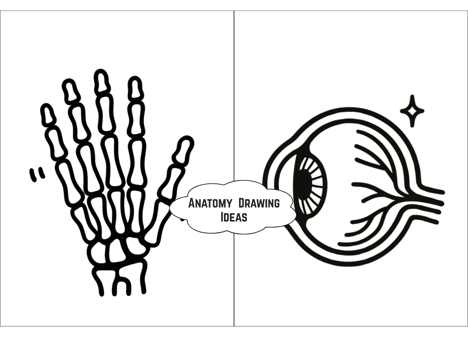 Anatomy Drawing Ideas
