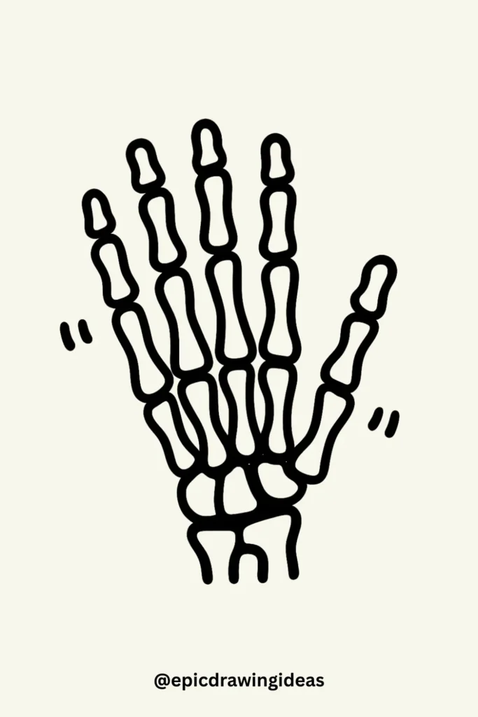 The Hand Skeleton