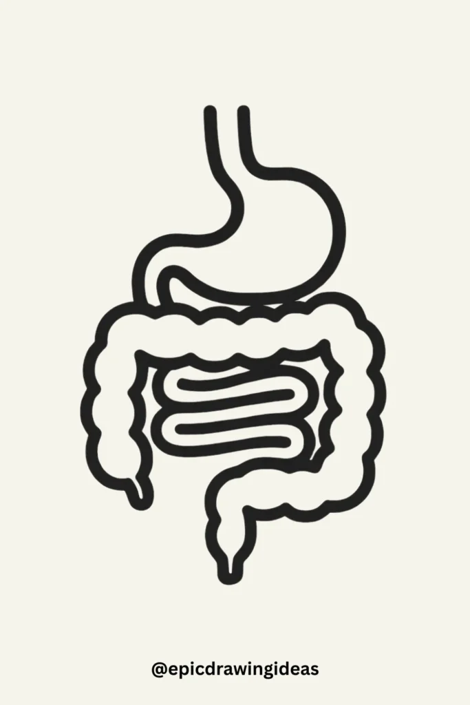 Digestive System: The Whimsical Journey