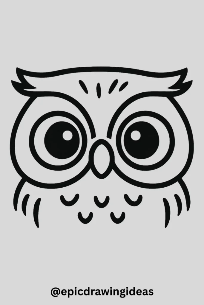 Whimsical Owl Face