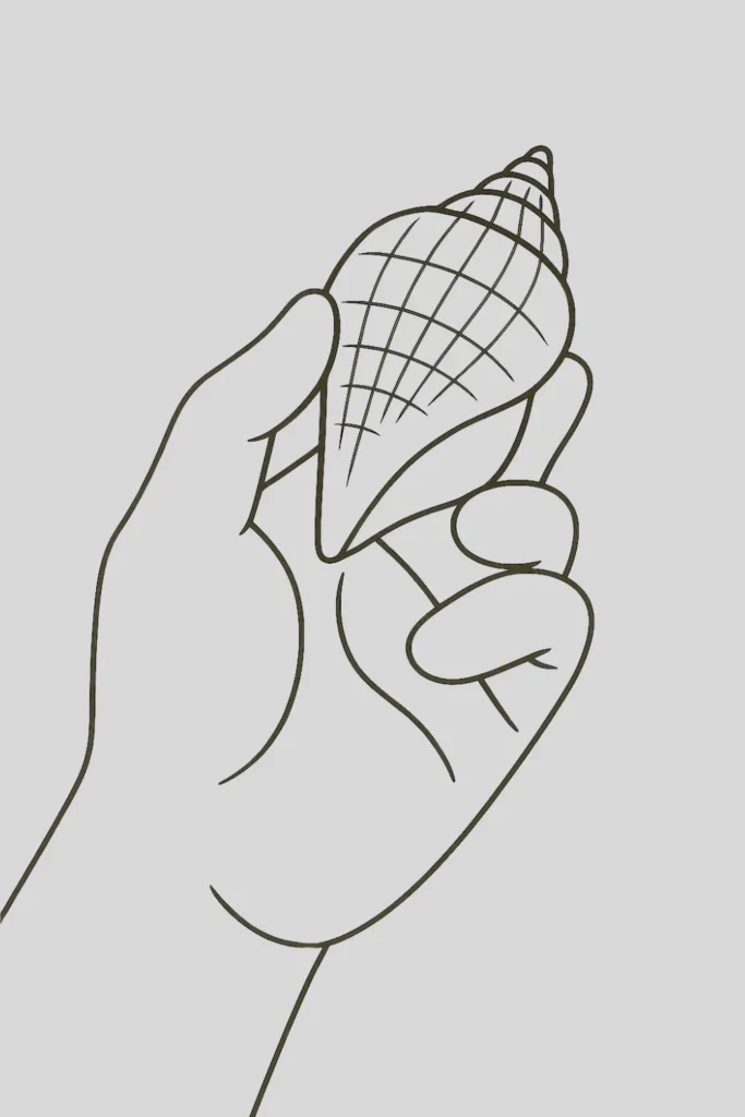 Hand Holding a Seashell