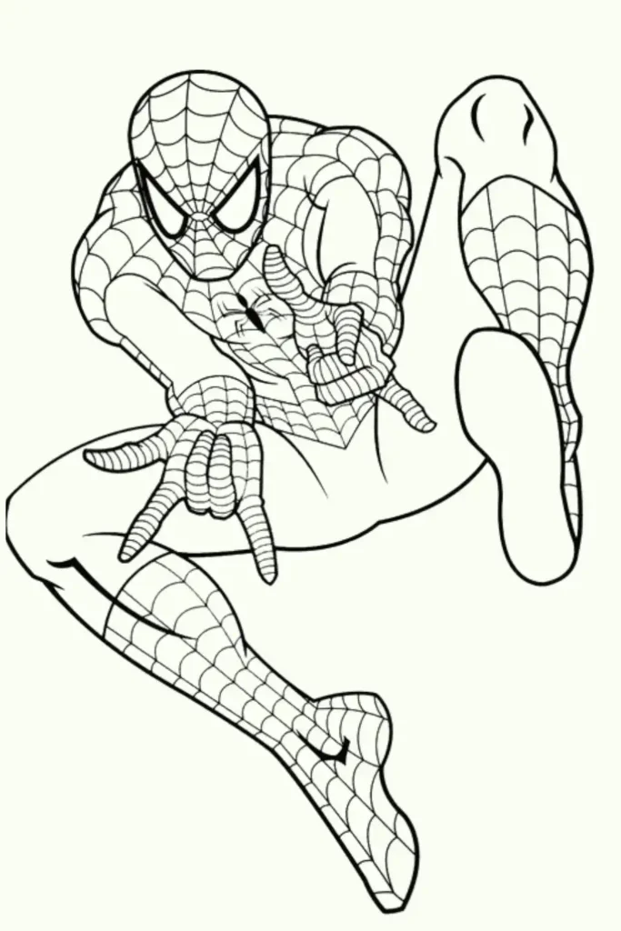 Web-Slinging Hero